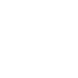 SPEED icon